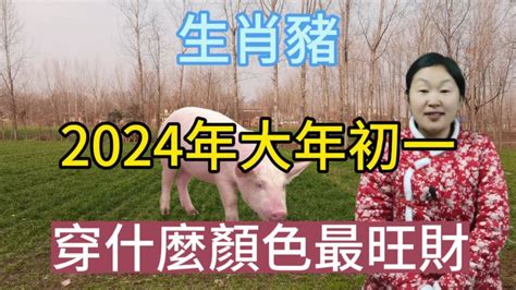 豬年幸運顏色|【屬豬 顏色】速查2024屬豬運勢指南：幸運色、財位、禁忌